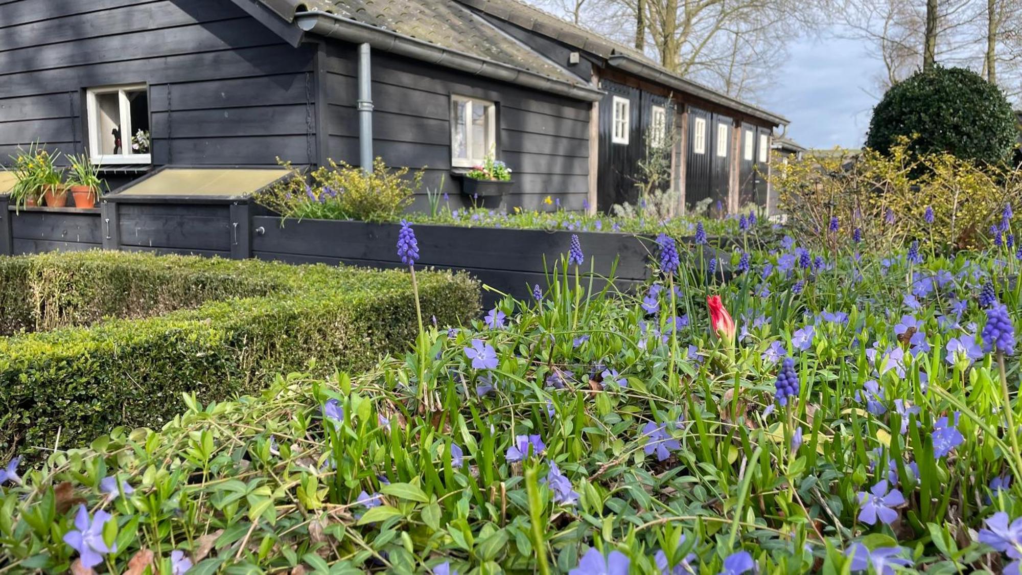 Hoeve Bij Vosselen Asten Exterior photo